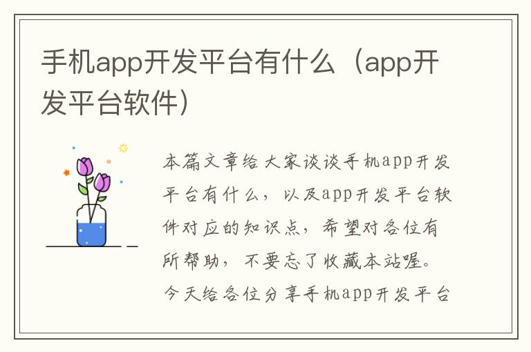 手机app开发平台有什么（app开发平台软件）