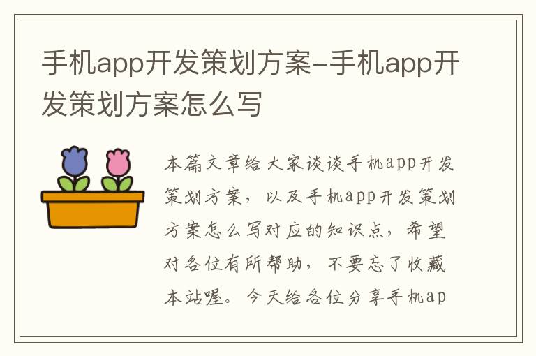 手机app开发策划方案-手机app开发策划方案怎么写