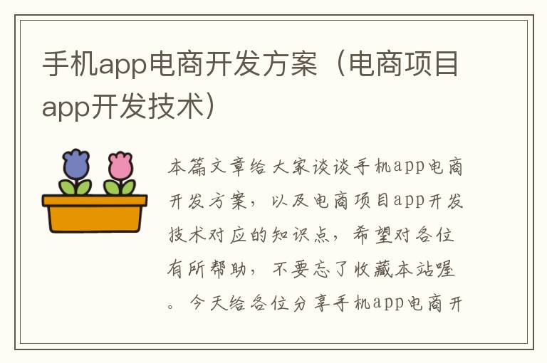 手机app电商开发方案（电商项目app开发技术）