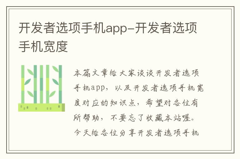 开发者选项手机app-开发者选项手机宽度