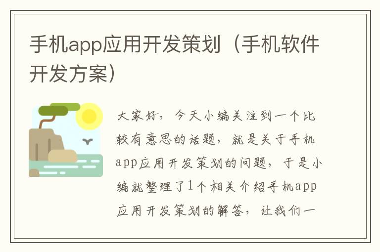 手机app应用开发策划（手机软件开发方案）