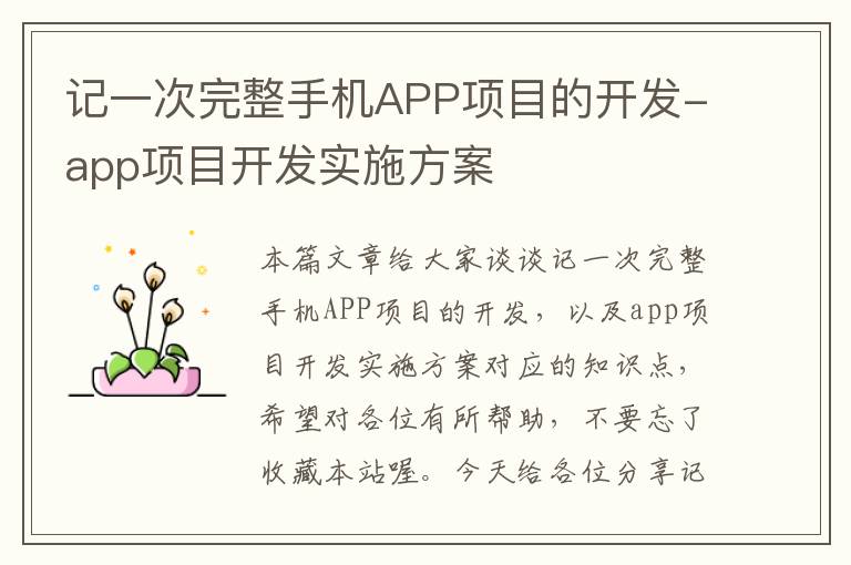 记一次完整手机APP项目的开发-app项目开发实施方案