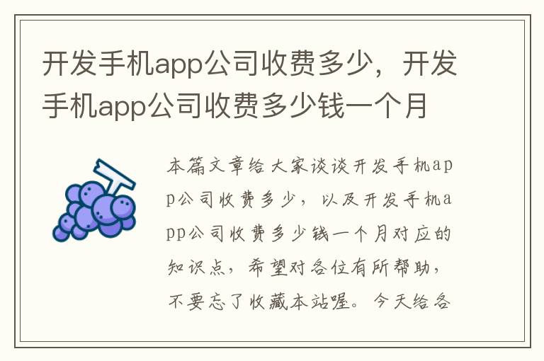 开发手机app公司收费多少，开发手机app公司收费多少钱一个月