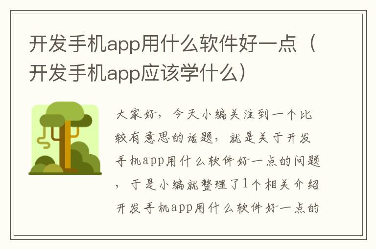 开发手机app用什么软件好一点（开发手机app应该学什么）