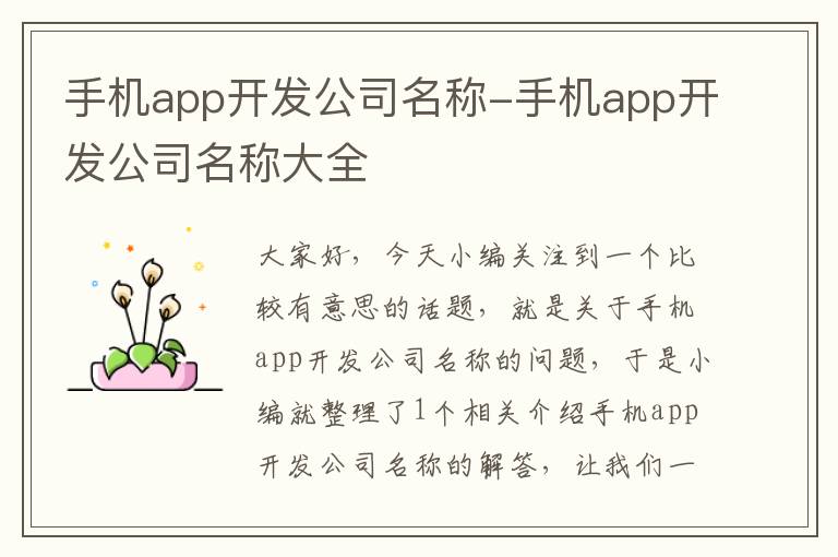 手机app开发公司名称-手机app开发公司名称大全