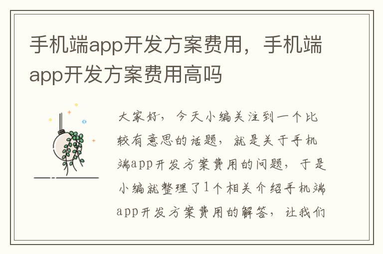 手机端app开发方案费用，手机端app开发方案费用高吗