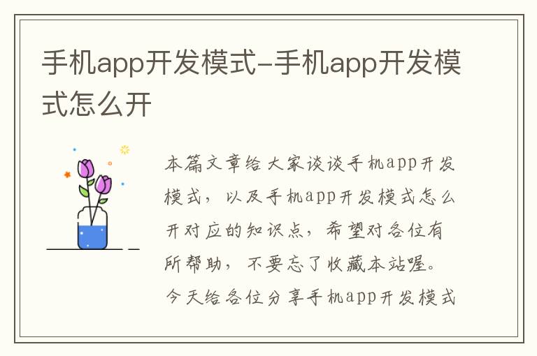 手机app开发模式-手机app开发模式怎么开