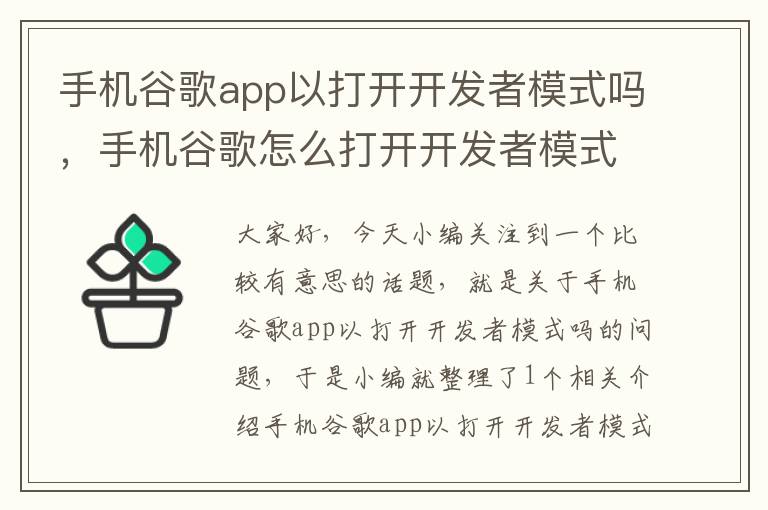 手机谷歌app以打开开发者模式吗，手机谷歌怎么打开开发者模式