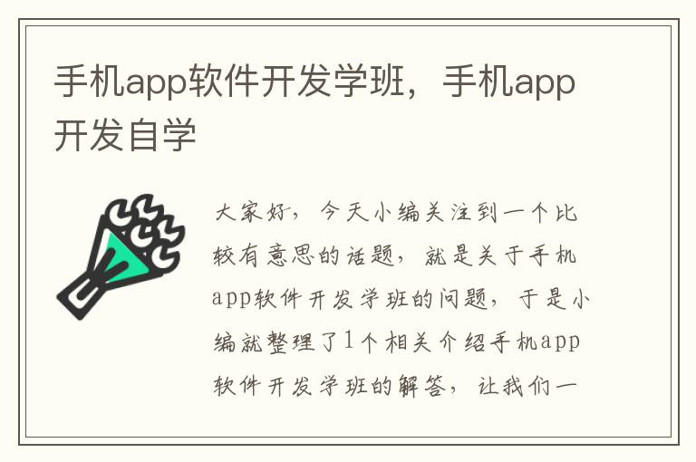 手机app软件开发学班，手机app开发自学