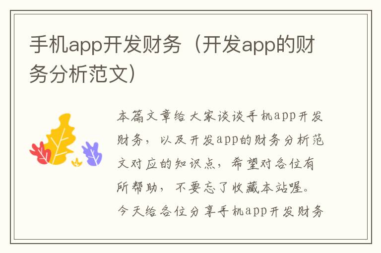 手机app开发财务（开发app的财务分析范文）