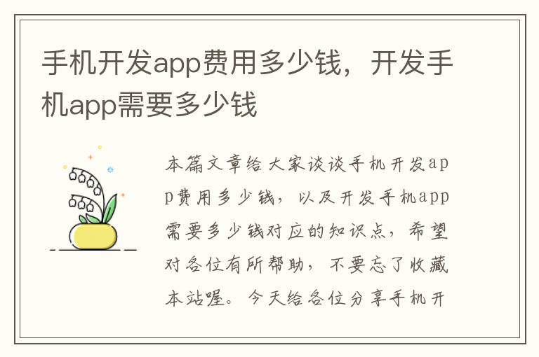 手机开发app费用多少钱，开发手机app需要多少钱