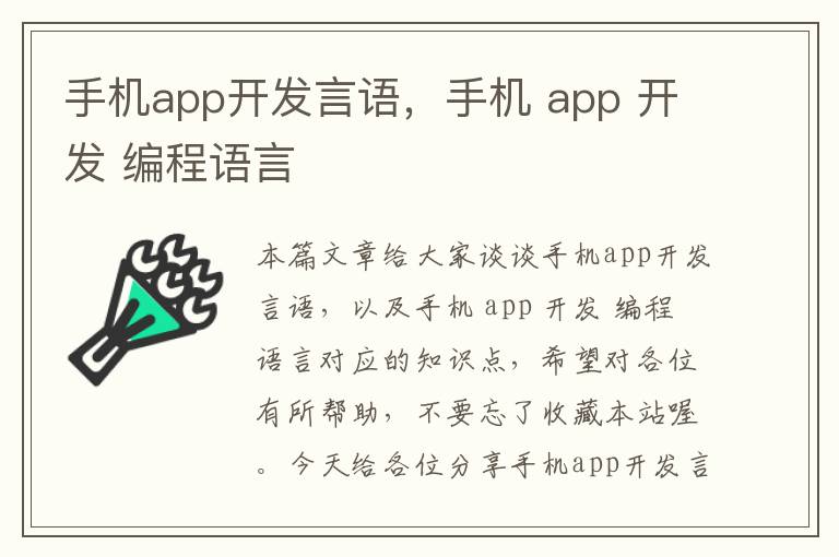 手机app开发言语，手机 app 开发 编程语言