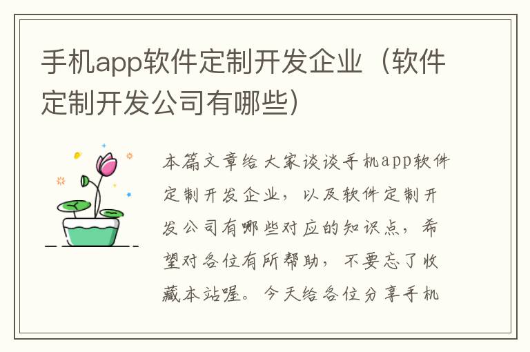 手机app软件定制开发企业（软件定制开发公司有哪些）