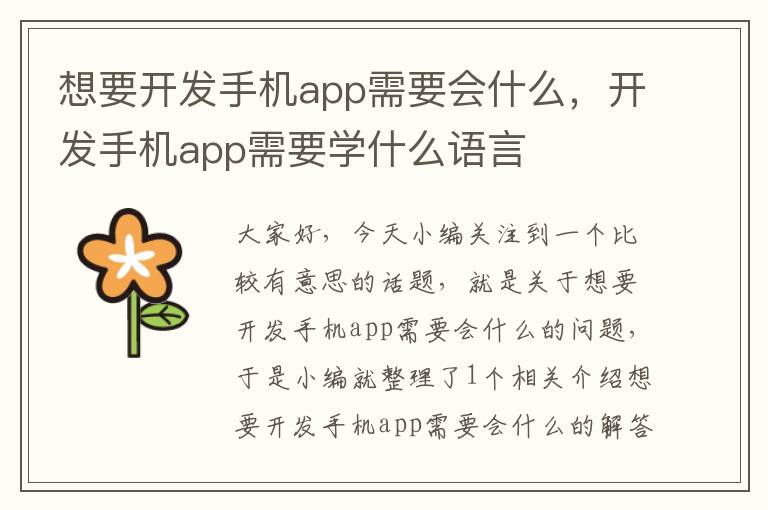 想要开发手机app需要会什么，开发手机app需要学什么语言