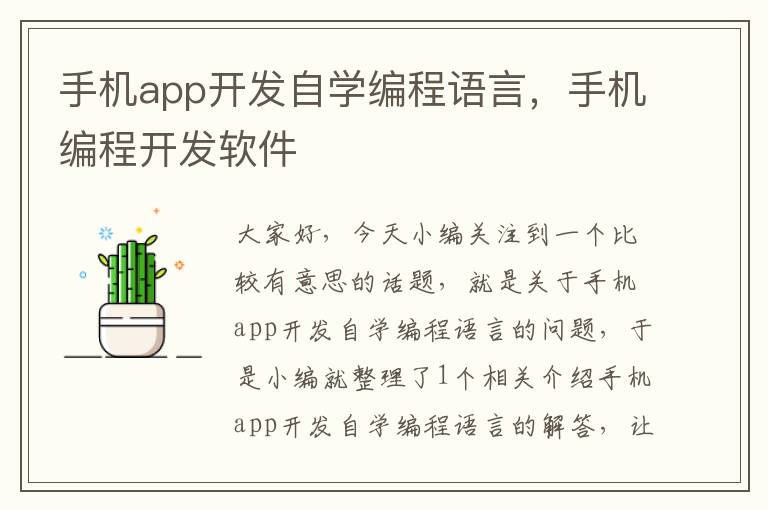 手机app开发自学编程语言，手机编程开发软件