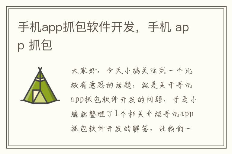 手机app抓包软件开发，手机 app 抓包