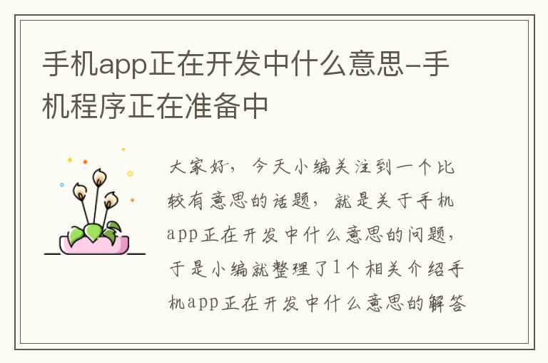 手机app正在开发中什么意思-手机程序正在准备中