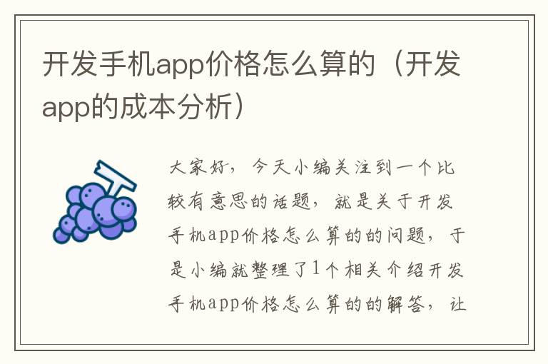 开发手机app价格怎么算的（开发app的成本分析）