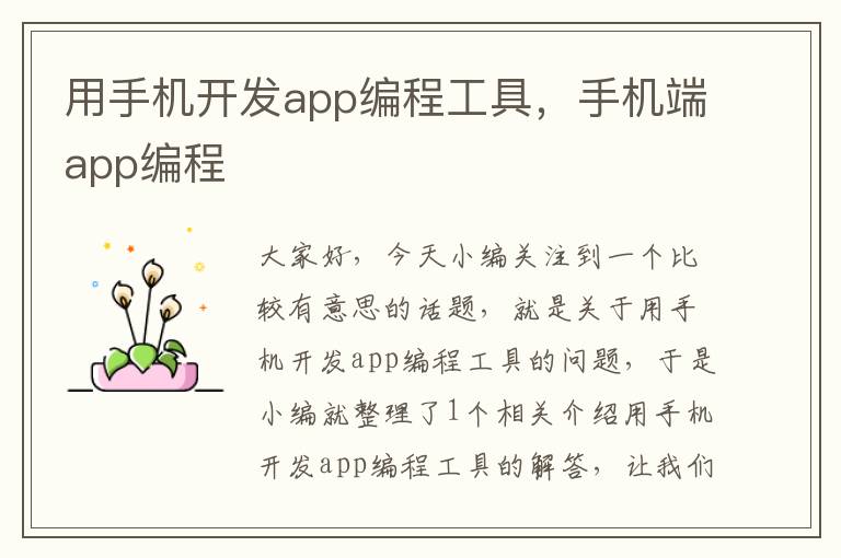 用手机开发app编程工具，手机端app编程