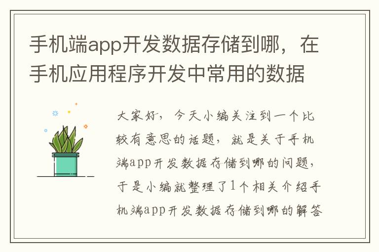 手机端app开发数据存储到哪，在手机应用程序开发中常用的数据库是?