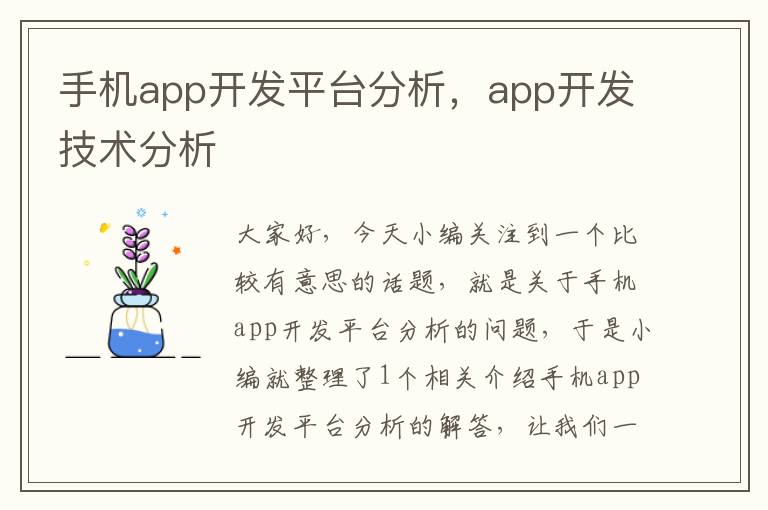 手机app开发平台分析，app开发技术分析