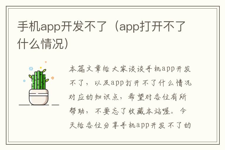 手机app开发不了（app打开不了什么情况）